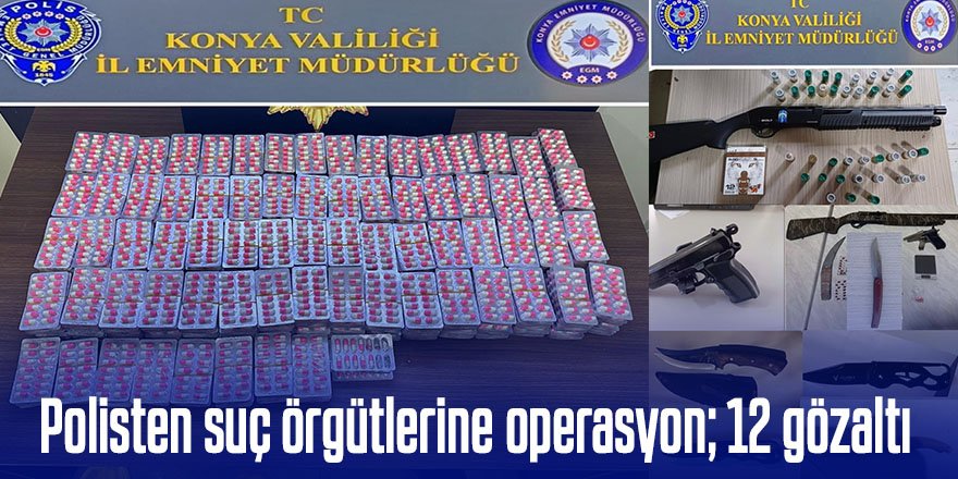 Polisten suç örgütlerine operasyon; 12 gözaltı