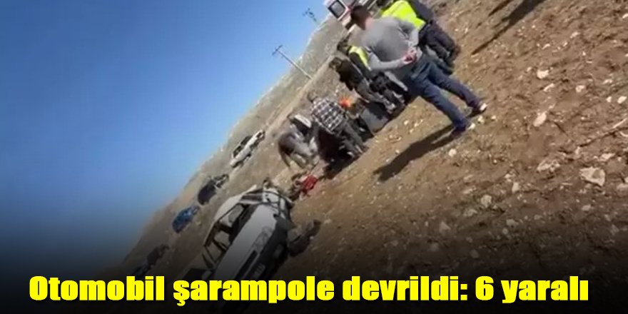 Otomobil şarampole devrildi: 6 yaralı