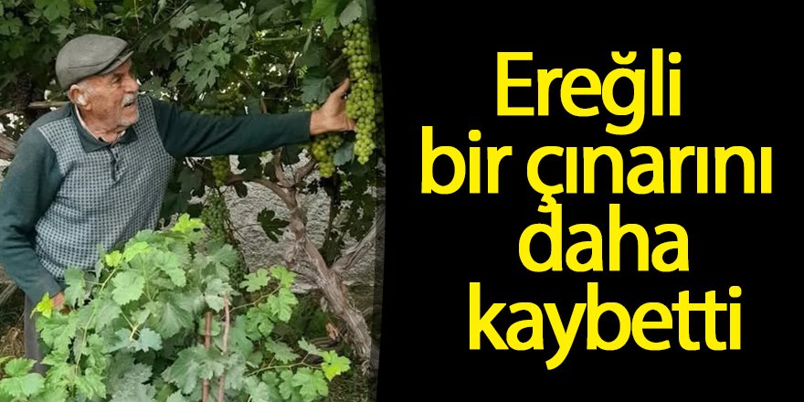 Ereğli bir çınarını daha kaybetti