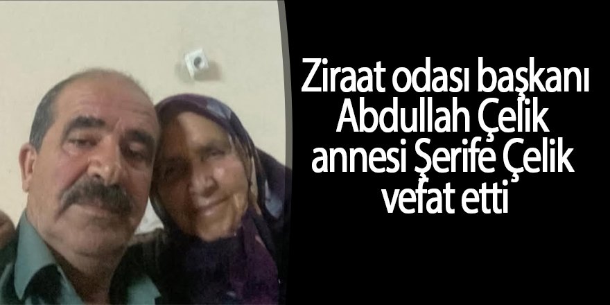 Ereğli Ziraat odası başkanı Abdullah Çelik annesi, Şerife Çelik vefat etti