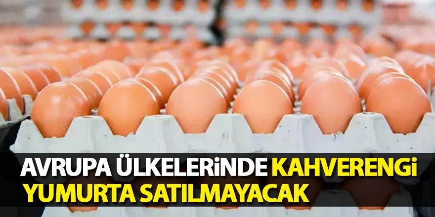 Almanya'da kahverengi yumurta satışı kısıtlandı