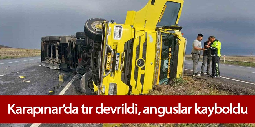 Karapınar’da tır devrildi, anguslar kayboldu