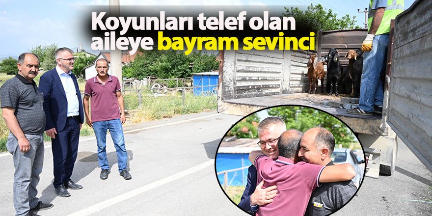 Kurbanda satmak için aldıkları koyunları telef olan aileye bayram sevinci