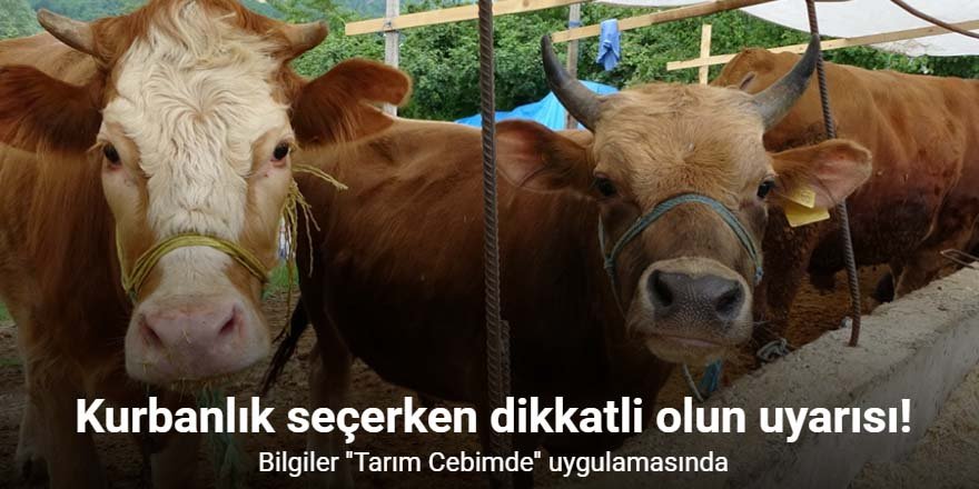 Kurbanlık seçerken dikkatli olun uyarısı