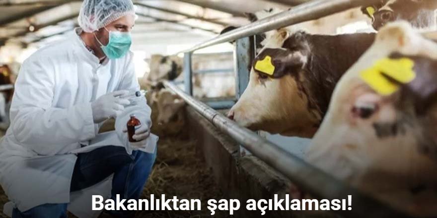 Tarım ve Orman Bakanlığı'ndan şap açıklaması!