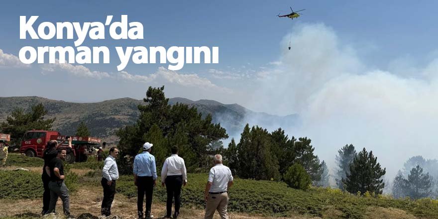 Konya’da orman yangını