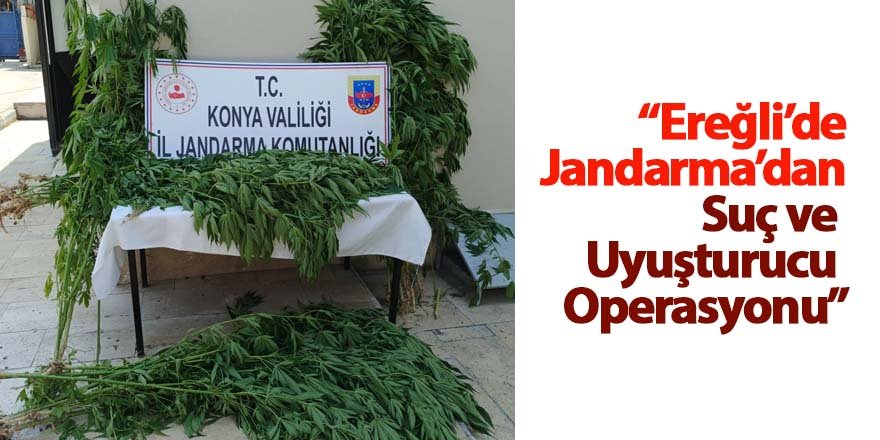 “Ereğli’de Jandarma’dan Suç ve Uyuşturucu Operasyonu”