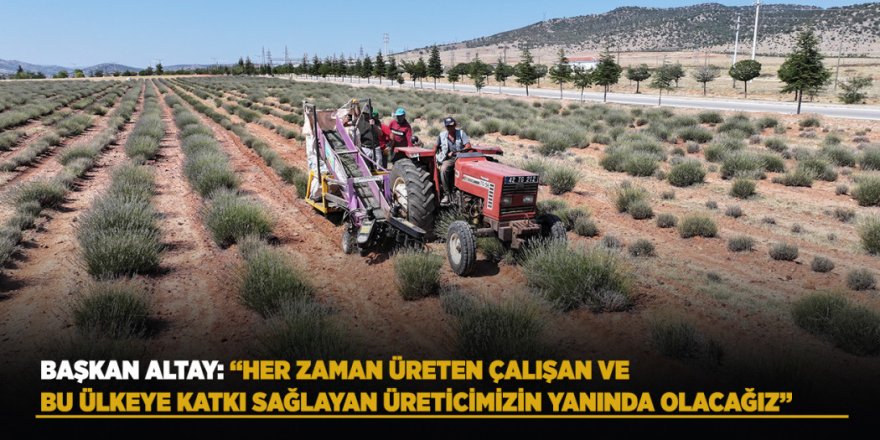 Konya Büyükşehir’in Desteğiyle Güneysınır’da Üretilen Lavantaların Hasadı Yapıldı