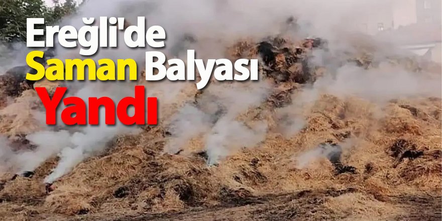 Ereğli'de Saman Balyası Yangını