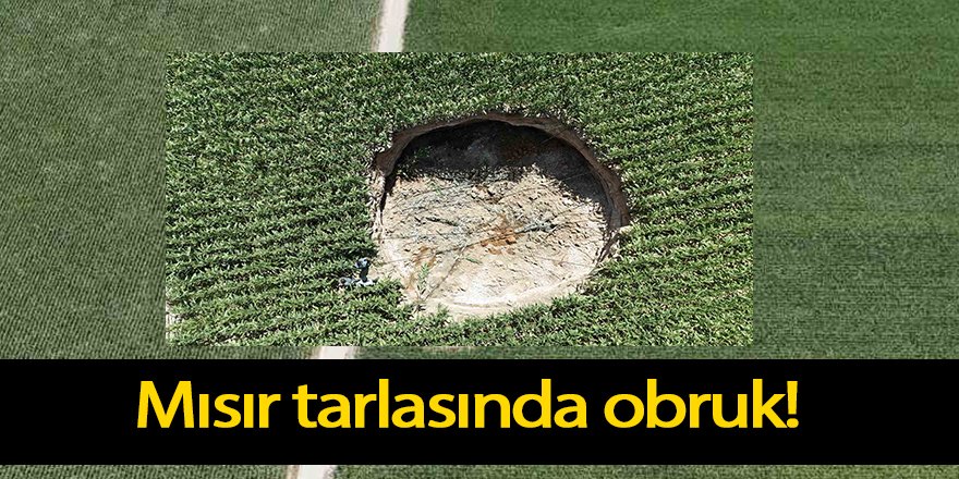 Mısır tarlasında obruk!