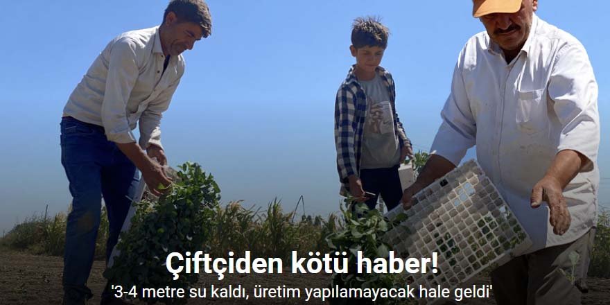 Çiftçinin alın teri kuraklığa ve yüksek maliyetlere yenik düştü