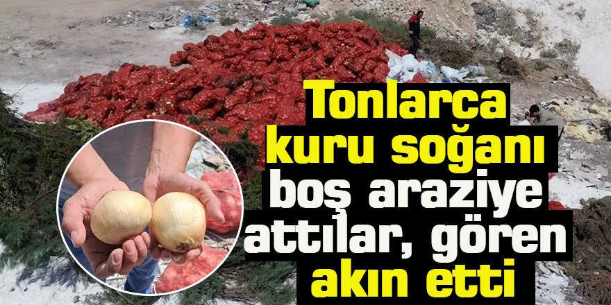 Tonlarca kuru soğanı boş araziye attılar, gören akın etti