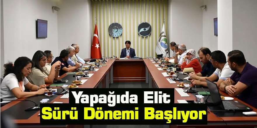 Yapağıda Elit Sürü Dönemi Başlıyor