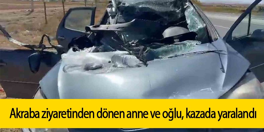 Akraba ziyaretinden dönen anne ve oğlu, kazada yaralandı