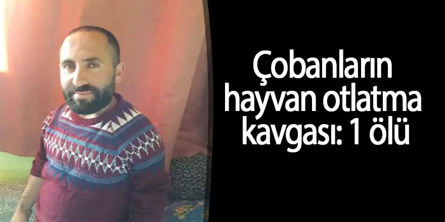Çobanların hayvan otlatma kavgası: 1 ölü