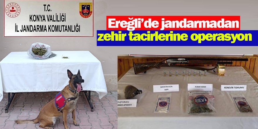 Ereğli’de jandarmadan zehir tacirlerine operasyon