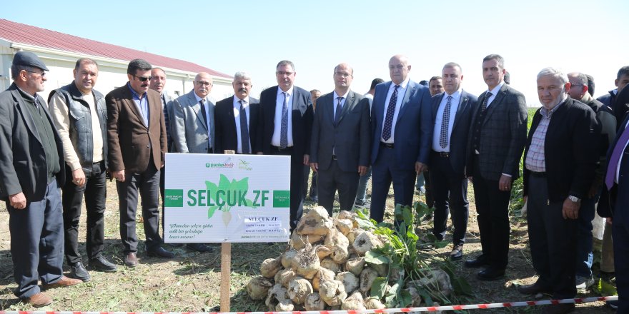 Konya’dan Türkiye’ye Yerli Tohum Hamlesi: Pankobirlik Ve Selçuk Üniversitesi’nden Tarihi Başarı