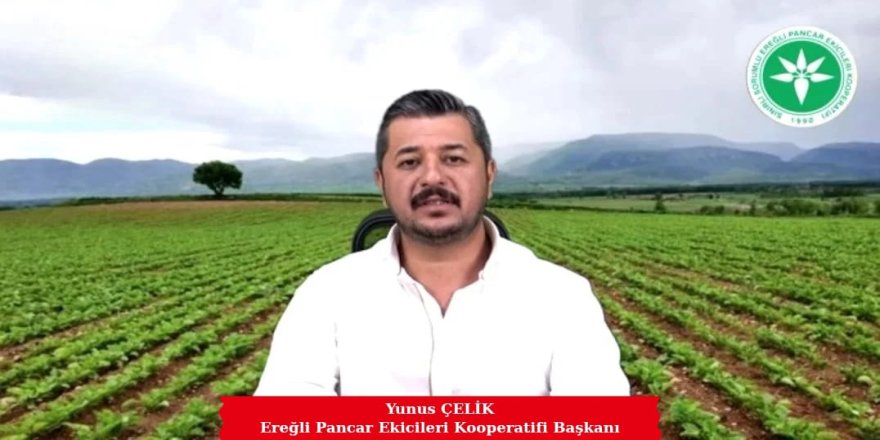 Yeni Yönetimden İlk Söz, İlk İcraat