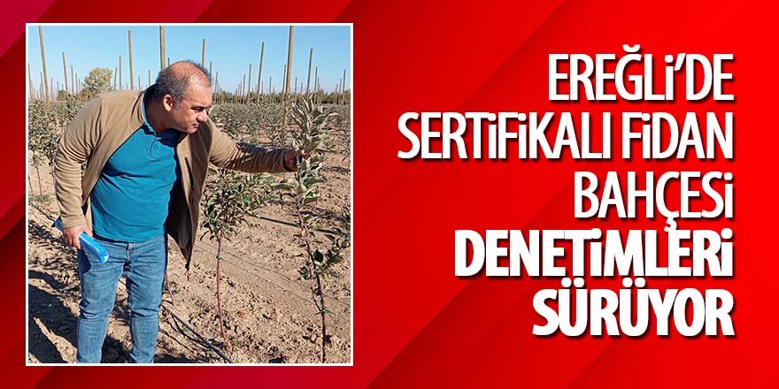 Ereğli’de Sertifikalı Fidan Bahçesi Denetimleri Sürüyor