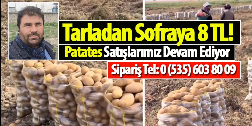 Çiftçiden Direk Tüketiciye Patates satışı