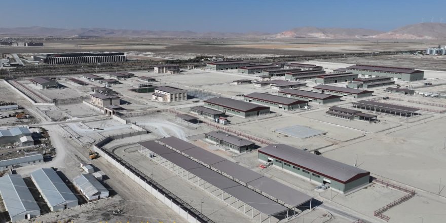 Ağır Bakım Yeşil Alan Olacak