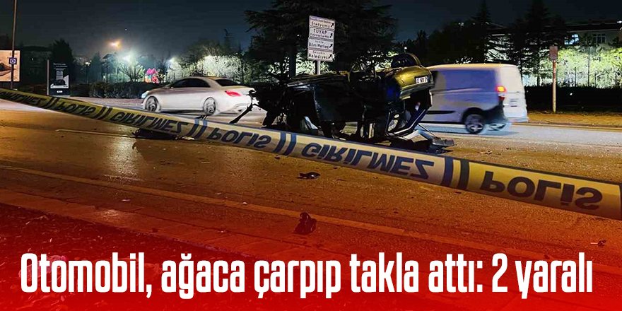 Otomobil, ağaca çarpıp takla attı: 2 yaralı