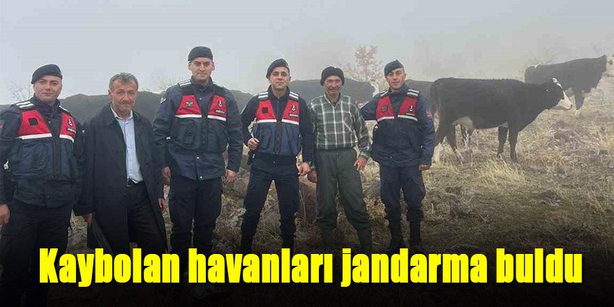 Hayvanları kaybolan kişinin imdadına jandarma yetişti