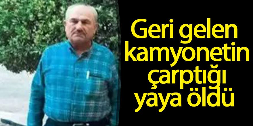 Geri gelen kamyonetin çarptığı yaya öldü