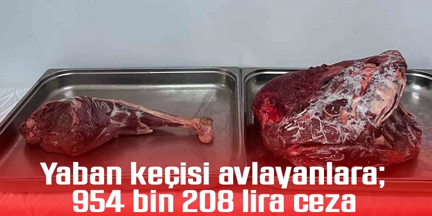 Yaban keçisi avlayanlara; 954 bin 208 lira ceza