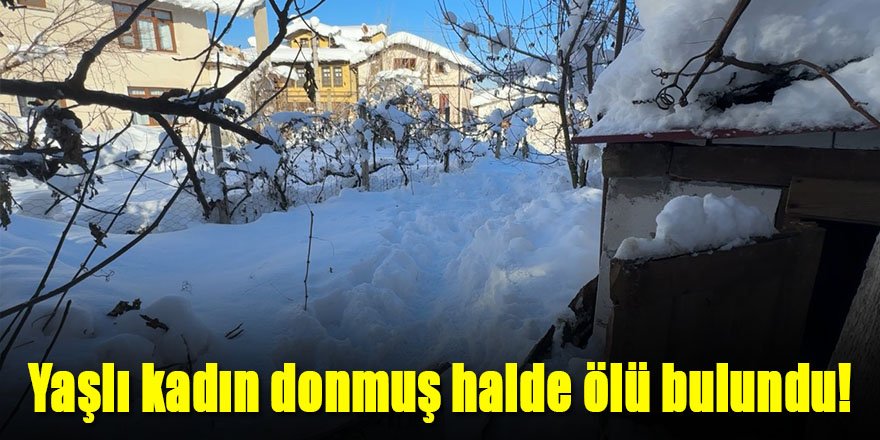 Yaşlı kadın evinin bahçesinde donmuş halde ölü bulundu!