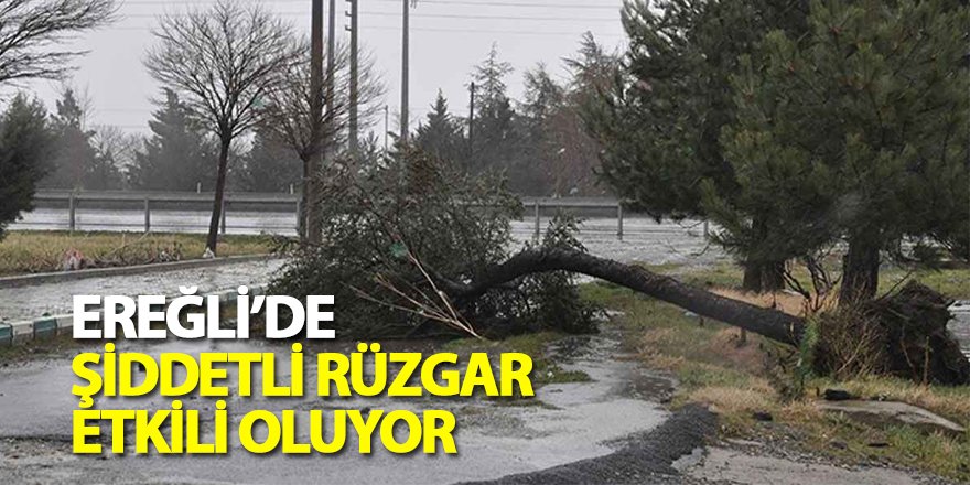Ereğli’de şiddetli rüzgar etkili oluyor 