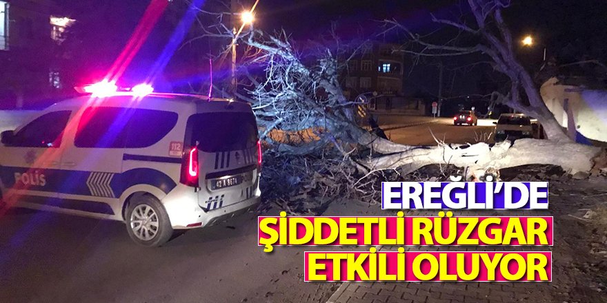 Ereğli’de şiddetli rüzgar etkili oluyor 