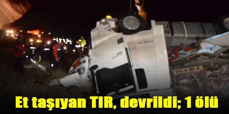 Et taşıyan TIR, devrildi; 1 ölü