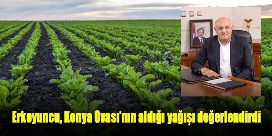 Erkoyuncu, Konya Ovası’nın aldığı yağışı değerlendirdi