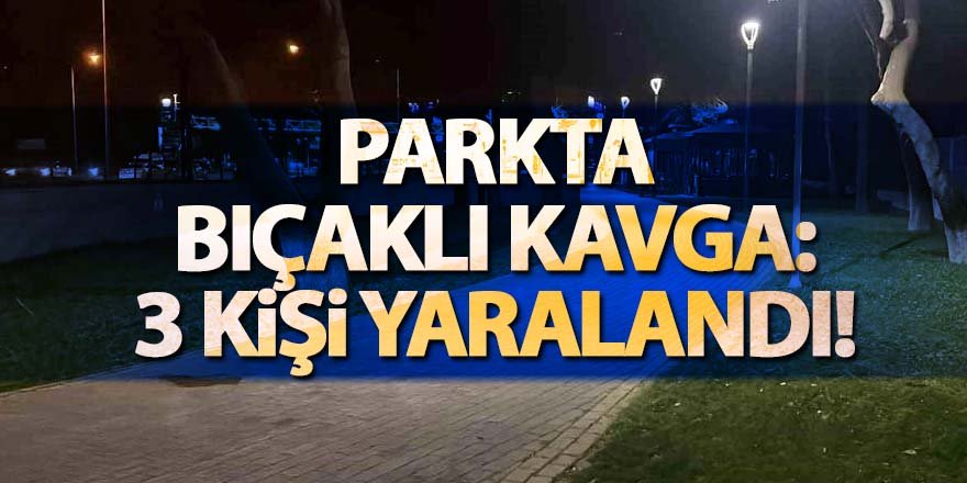 Parkta bıçaklı kavga: 3 kişi yaralandı