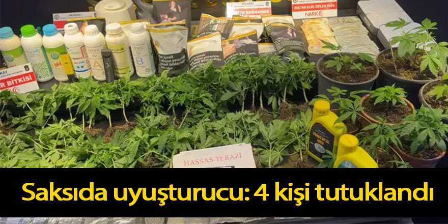 Saksıda uyuşturucu: 4 kişi tutuklandı