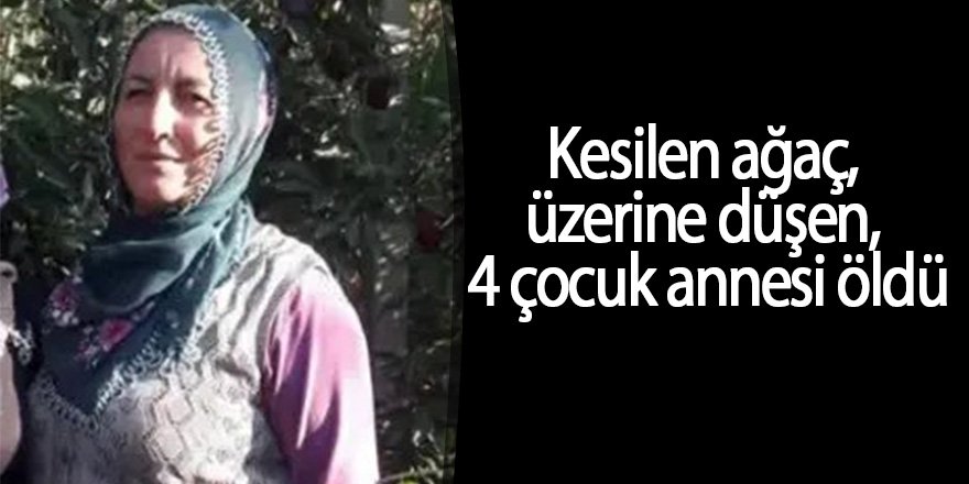 Kesilen ağaç, üzerine düşen; 4 çocuk annesi öldü