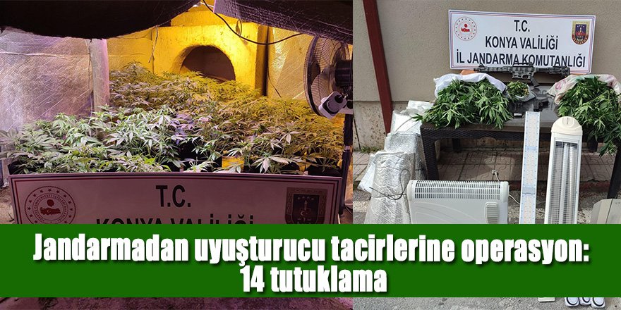 Jandarmadan uyuşturucu tacirlerine operasyon: 14 tutuklama