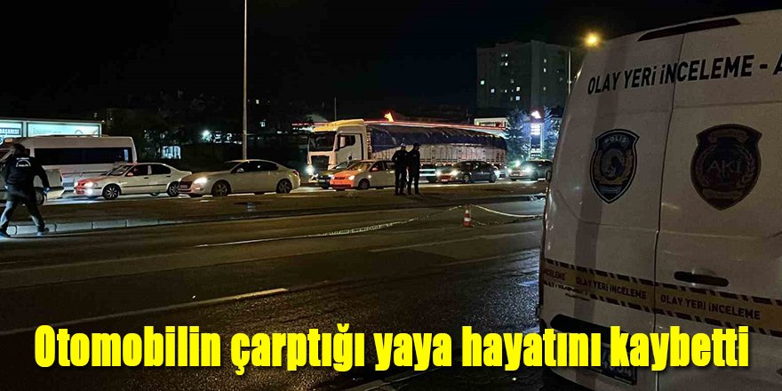 Otomobilin çarptığı yaya hayatını kaybetti