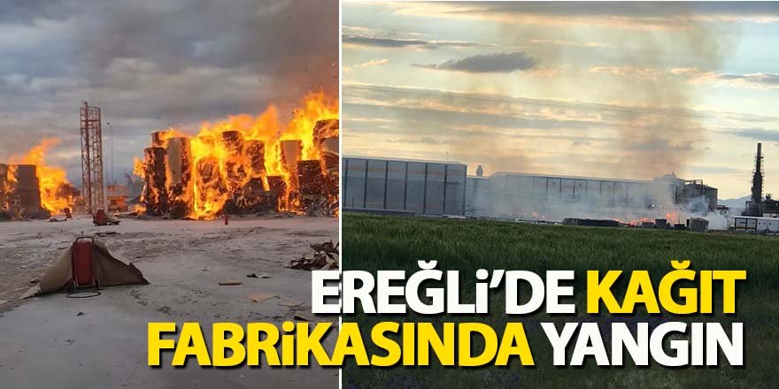 Ereğli’de kağıt fabrikasında yangın