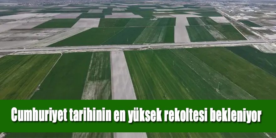 Konya Ovası’nda Cumhuriyet tarihinin en yüksek rekoltesi bekleniyor