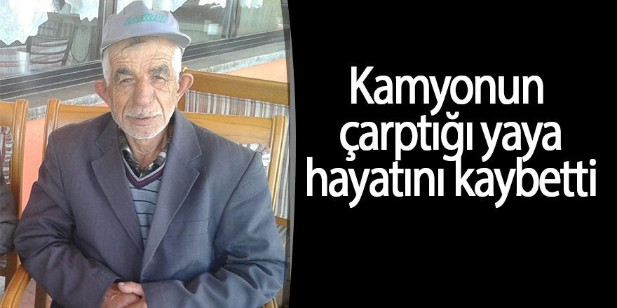 Kamyonun çarptığı yaya hayatını kaybetti