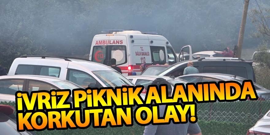 İvriz Piknik Alanında Korkutan Olay: Suya Düşen Çocuk Hastaneye Kaldırıldı