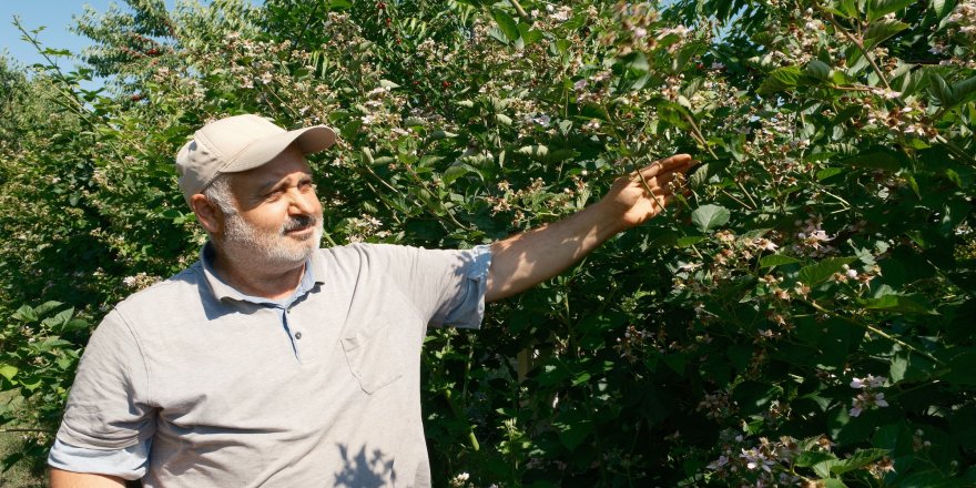 KONYA TARIMSAL ÜRETİMDE EZBER BOZUYOR; GELENEKSEL ÜRETİMDEN AHUDUDUYA
