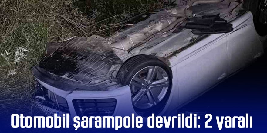 Otomobil şarampole devrildi: 2 yaralı