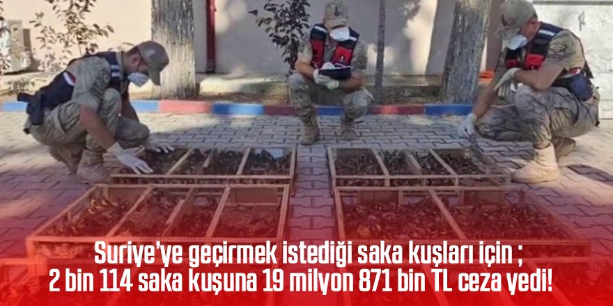 Traktörün römorkunda 2 bin 114 saka ele geçirildi; sürücüye 19,8 milyon TL ceza kesildi