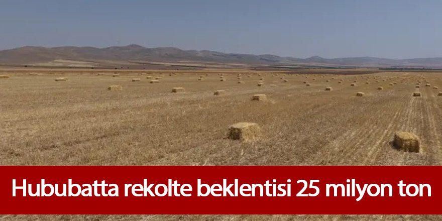 Hububatta rekolte beklentisi 25 milyon ton