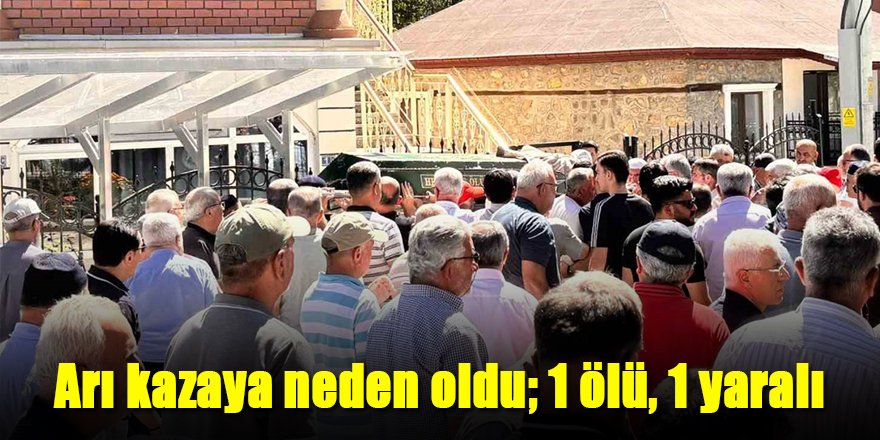 Arı kazaya neden oldu; 1 ölü, 1 yaralı