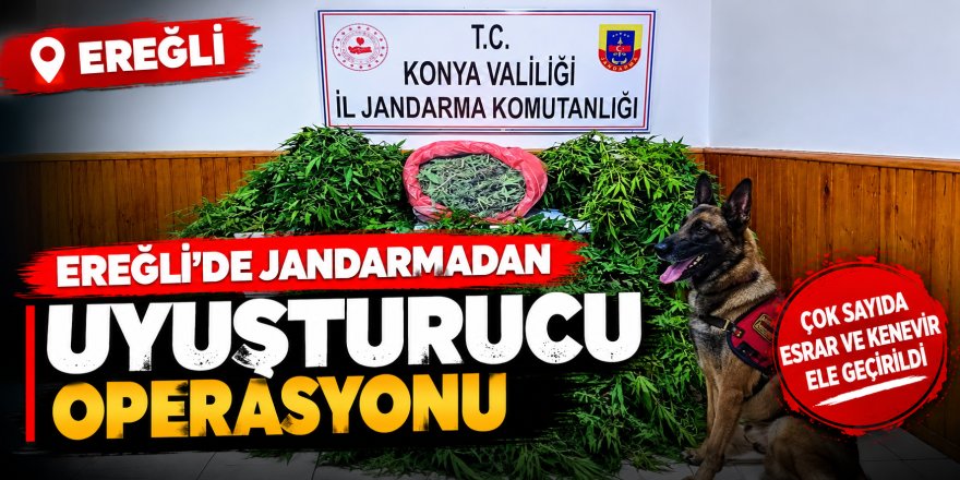 Ereğli’de Jandarmadan Uyuşturucu Operasyonu