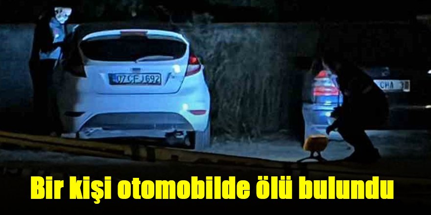 Bir kişi otomobilde ölü bulundu
